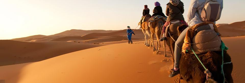 En gruppe mennesker rider på kameler gennem ørkenen i skumringens bløde lys.