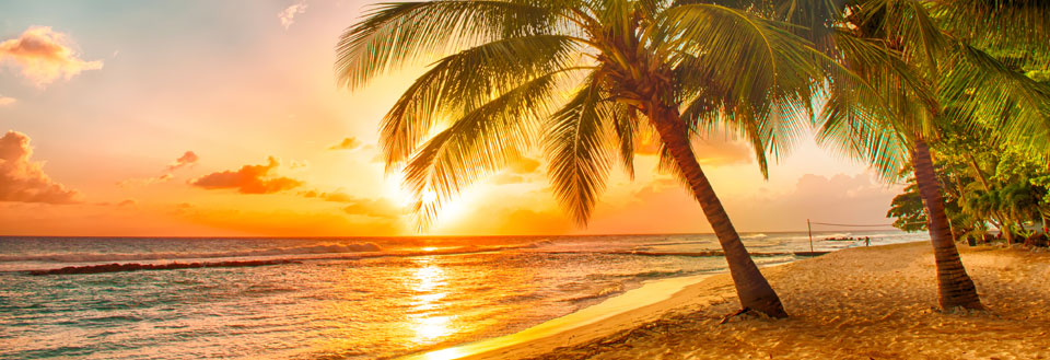 Solnedgang på en tropisk strand med palmer og gyldent lys reflekteret på havets overflade.