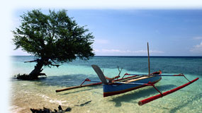Rejseguide til Indonesien