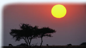 Rejseguide til Windhoek