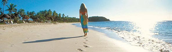  Rejser til Fiji - Find dem her! 