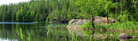  Rejser til Finland - Find dem her! 