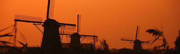  Rejser til Holland - Find dem her! 