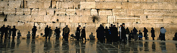  Rejser til Israel - Find dem her! 