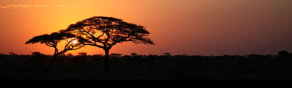 Pakkerejser til Tanzania