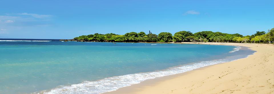 Billedet viser en solbeskinnet strand med azurblåt hav, gyldent sand og frodig grønne træer i baggrunden.