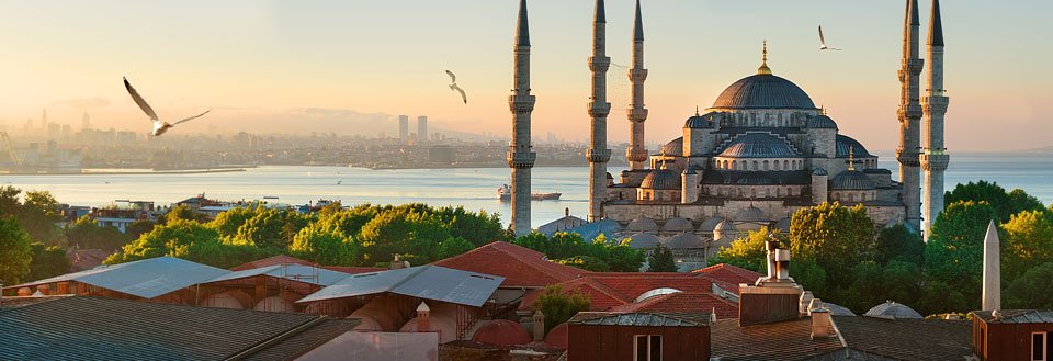 Solopgang over Istanbul med den imponerende Blå moské og spir, mod en havudsigt og flyvende måger.