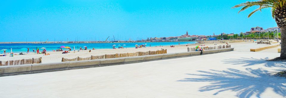 Billede af en solrig strandpromenade med mennesker, palmer og en klar blå himmel.