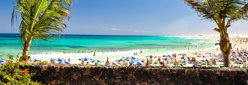 En solrig strandpromenade med mennesker der bader, farvestrålende parasoller og en palmegren i forgrunden.
