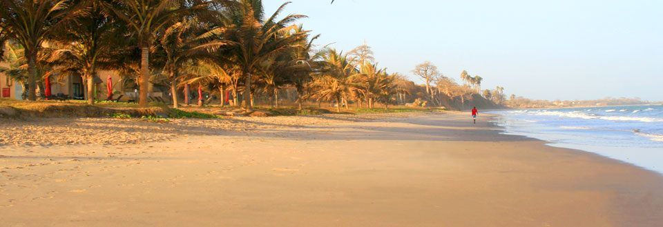En rolig strand med palmtræer og en person der går langs vandkanten under en klar himmel.