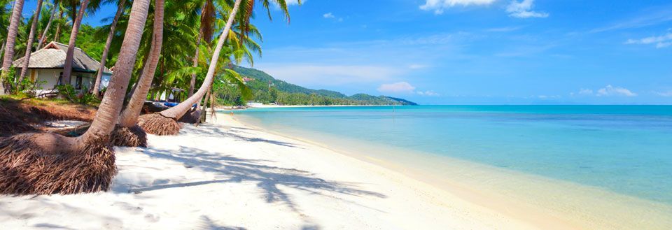 Tropisk strand med palmer, en hytte, og en klar blå himmel, som skaber et paradisisk landskab.