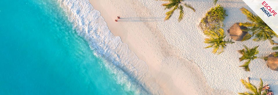 Luftfoto af en tropisk strand med krystalklart vand, hvide sandstrande og palmer. En person slapper af ved vandkanten.