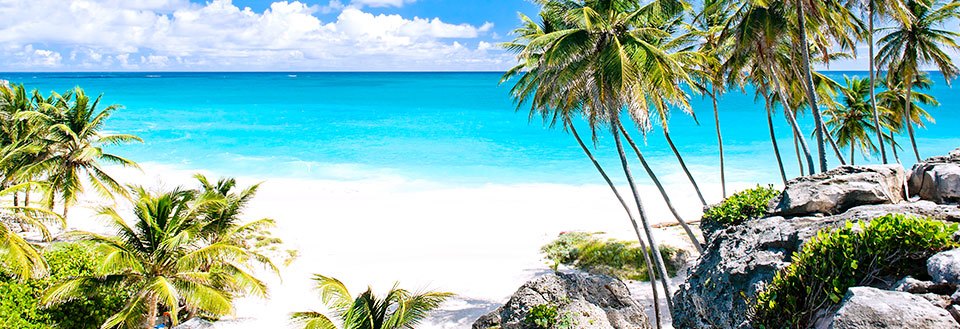En tropisk strand med klart blåt vand omgivet af palmetræer og klipper under en klar himmel.
