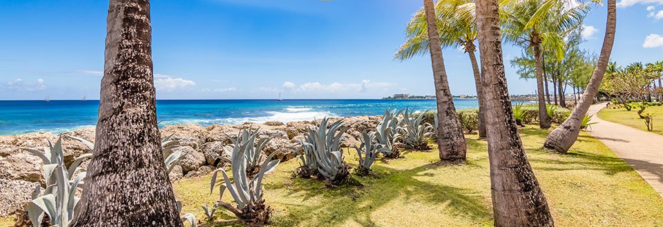 Billede af en tropisk strand med palmer og agaveplanter ved en klippekyst under en klar blå himmel.