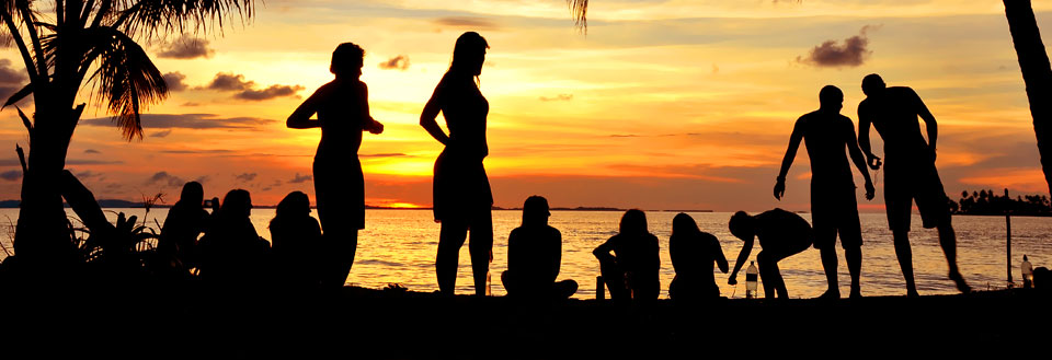 Billedet viser silhuetter af mennesker, der nyder en solnedgang på stranden, med palmer og en farverig himmel.