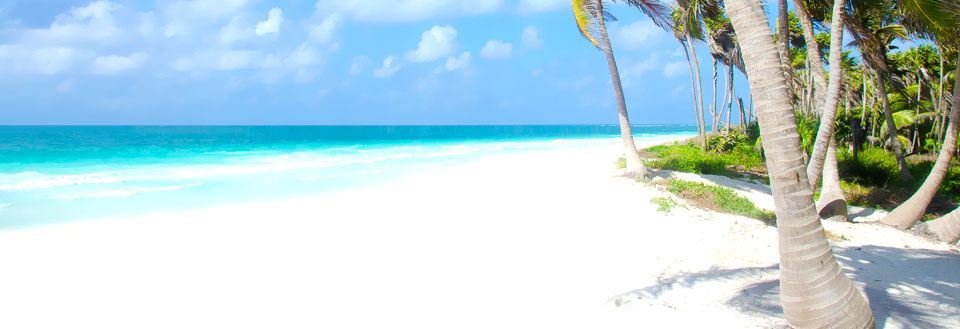 Tropisk strand med azurblåt vand og hvidt sand. Flere palmer svajer blidt i vinden under en klar blå himmel.