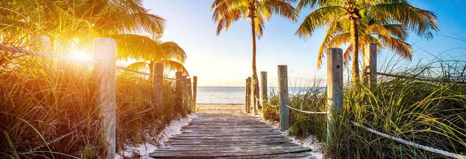 Trægangsti gennem tropiske palmer fører til en strand ved solnedgang.