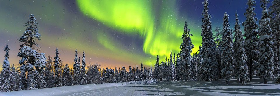 Et vinterlandskab om natten med nordlys der danser over sneklædte træer og en snedækket vej.