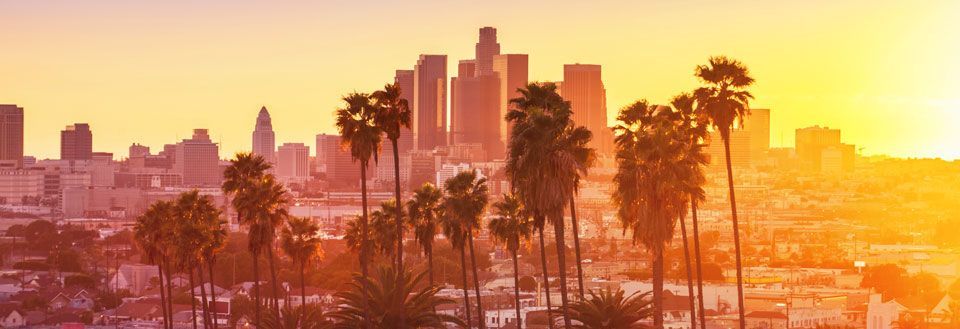 Smuk solnedgang over Los Angeles med palmetræer og silhuetten af skyskrabere.