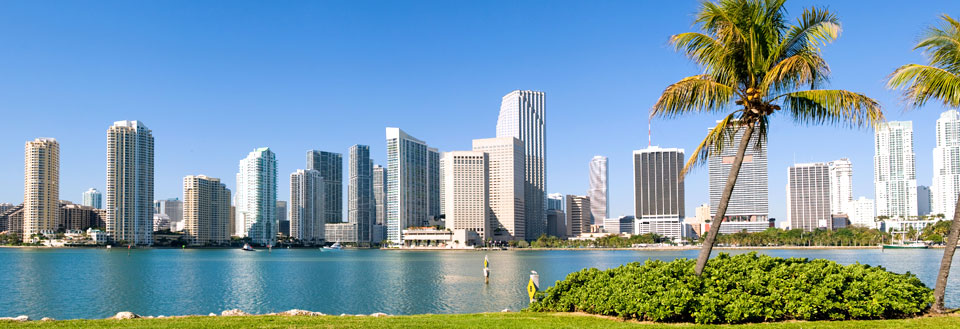 Miamis byskyline med højhuse og palmetræer ved vandkanten under en klar blå himmel.