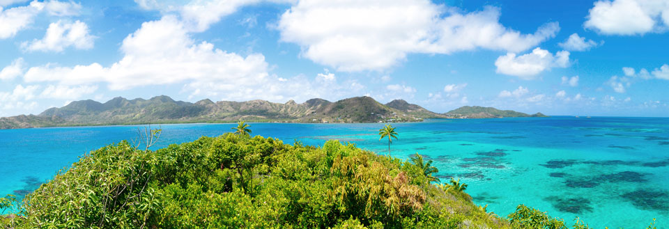 En tropisk ø med en klar blå himmel, frodige grønne planter og krystalklart turkis hav.