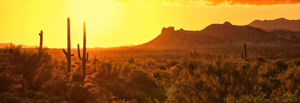 Et ørkenlandskab ved solnedgang med kaktusser og lave bjerge i baggrunden.