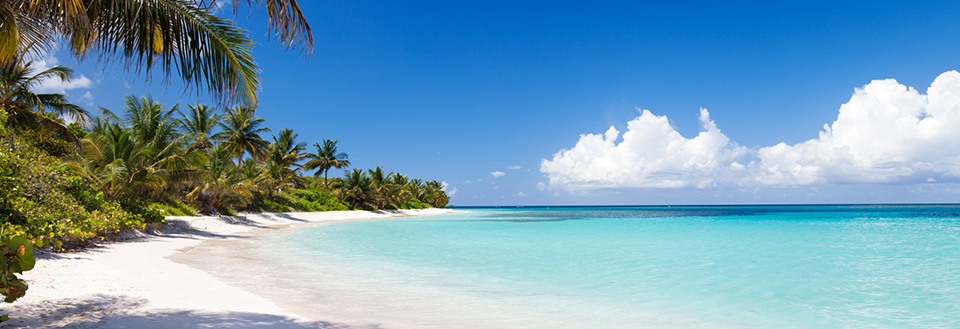 En idyllisk strand med hvidt sand, turkis hav og frodige palmer under en klar blå himmel.