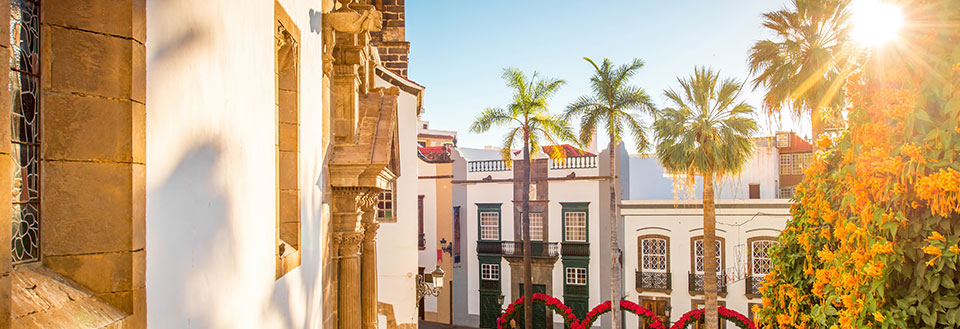 En malerisk gade med traditionelle bygninger, palmetræer og blomster i solnedgangens lys.