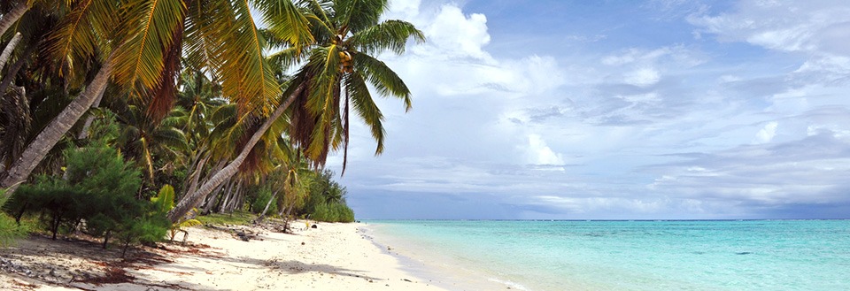 Tropisk strand omgivet af palmer med klar blå himmel og roligt turkis hav.