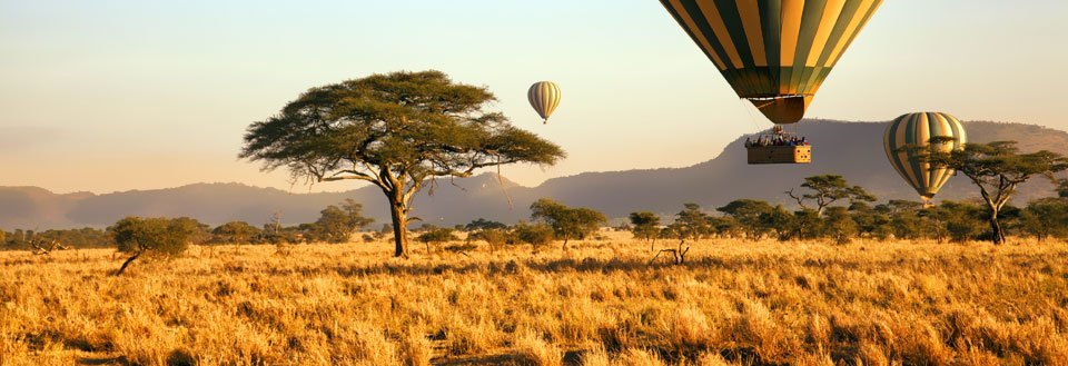 Tre varmluftballoner, der svæver over en savanne med spredte akacietræer og gyldent græs i solnedgangens lys.