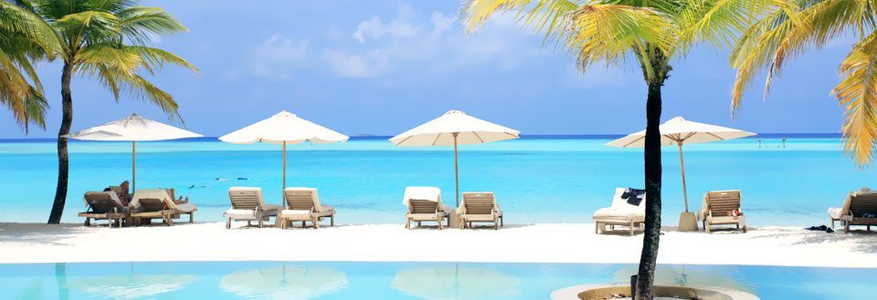 Tropisk strandudsigt med parasoller, liggestole og palmer ved klart turkisblåt hav.