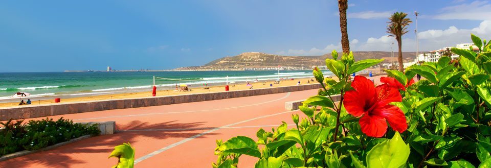 En solrig strandpromenade med folk, der nyder vejret, sandstranden, og havudsigten, flankeret af palmer og farverige blomster.