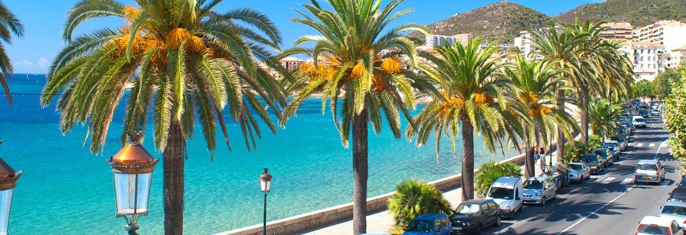 Solrig kystpromenade med palmetræer og smuk blå havudsigt.
