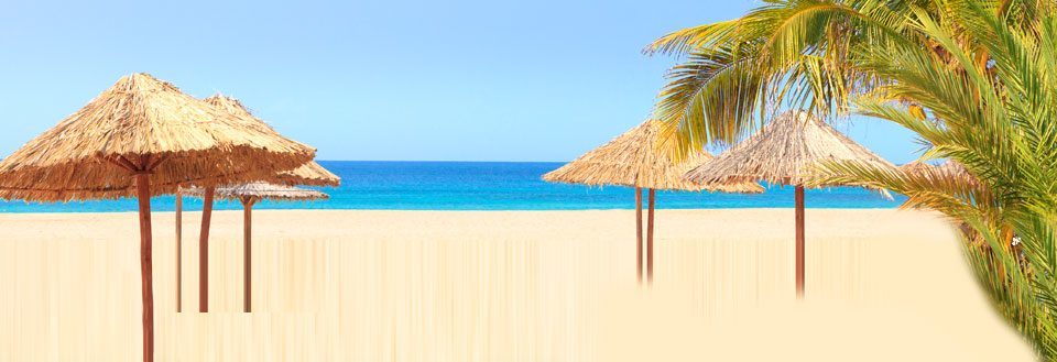 Solrig strand med klart blåt hav, gyldent sand, stråparasoller og palme.