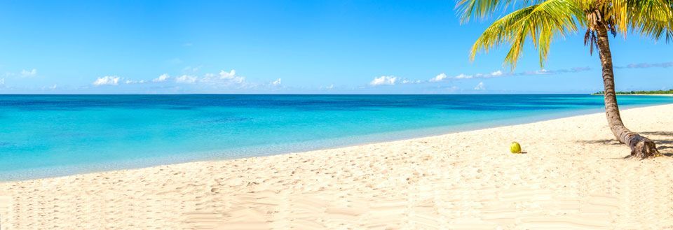 Idyllisk strand med fint sand, palme, klart blåt vand og solbeskinnet himmel.