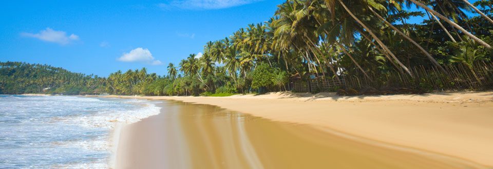 En tropisk strand med gyldent sand, svajende palmer og klart blåt vand under en solrig himmel.
