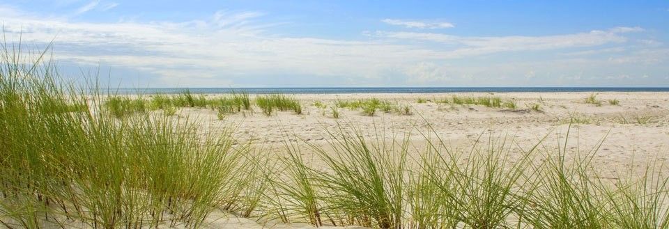 En fredelig strand med fint sand og grønne strandgræsser under en klar blå himmel.