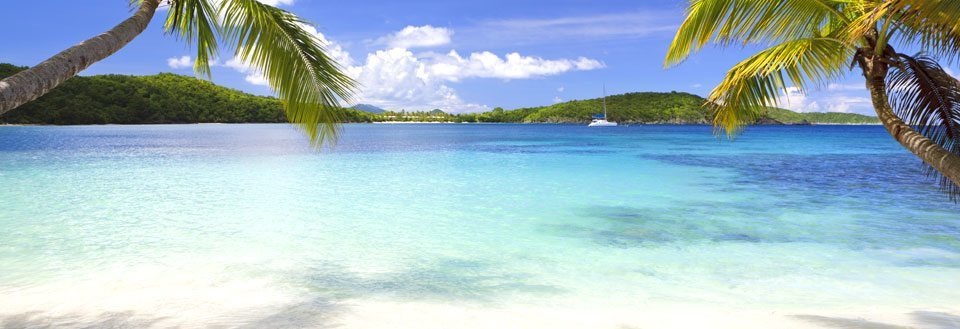 Tropisk strand med palmer, krystalklart blåt vand og en seren blå himmel.