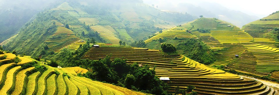 Terrasseret landskab med grønne og gyldne rismarker i bjergene.