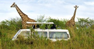 Safari i Kenya – inspiration, gode råd og tilbud til dig
