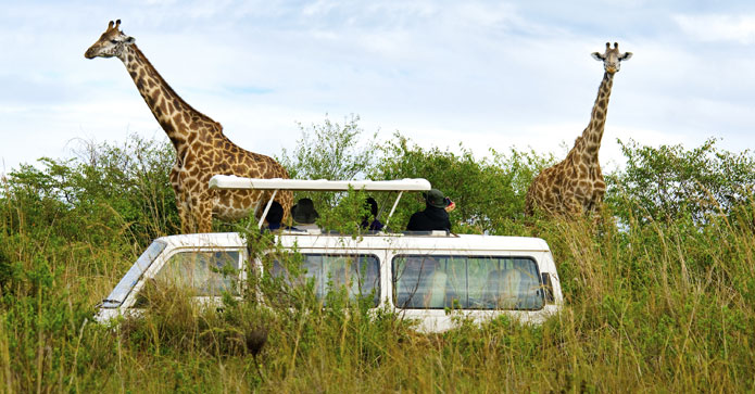Safari i Kenya - inspiration, gode råd og tilbud til dig