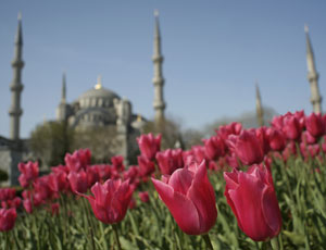 Billig forårsferie i Istanbul