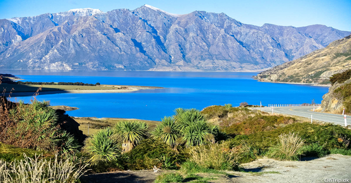 Rejsebudget til New Zealand