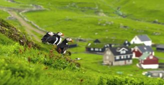 8 steder du skal se på Færøerne – bliv inspireret og se flypriser her