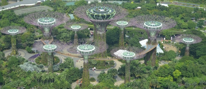 Supertræer i Singapore