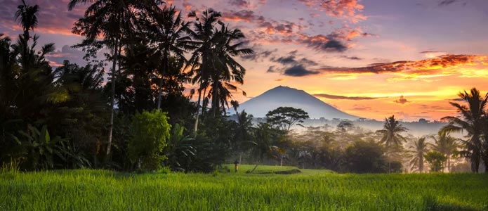 Rundrejse på Bali i 2020