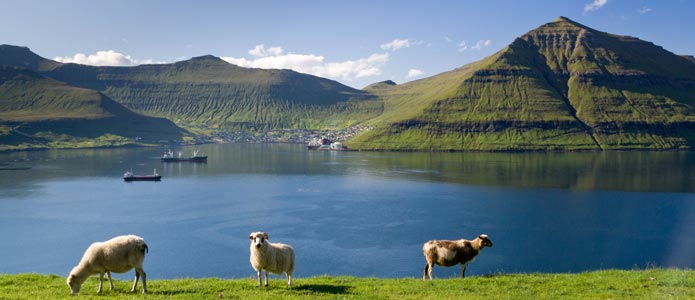 Hvad koster flybilletter til Færøerne