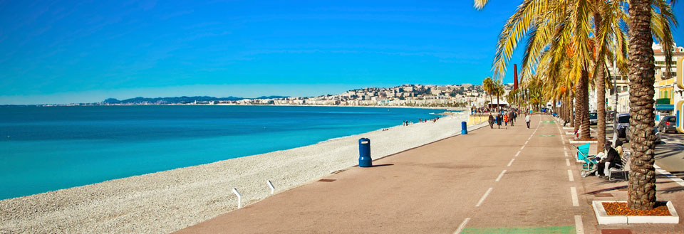 Solrig strandpromenade med palmetræer langs siden og en klar blå himmel.