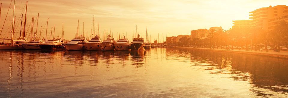 Billede af lystbådehavn ved solnedgang med adskillige både og yachter og bygninger i baggrunden.