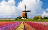 Charterrejser & pakkerejser til Holland